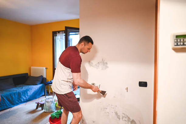 Trusted Pine Prairie, LA Mold Removal Experts